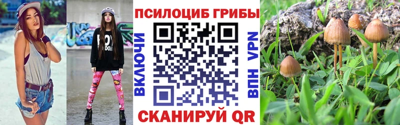 Купить закладки  Пугачёв  Псилоцибиновые грибы MAGIC MUSHROOMS 